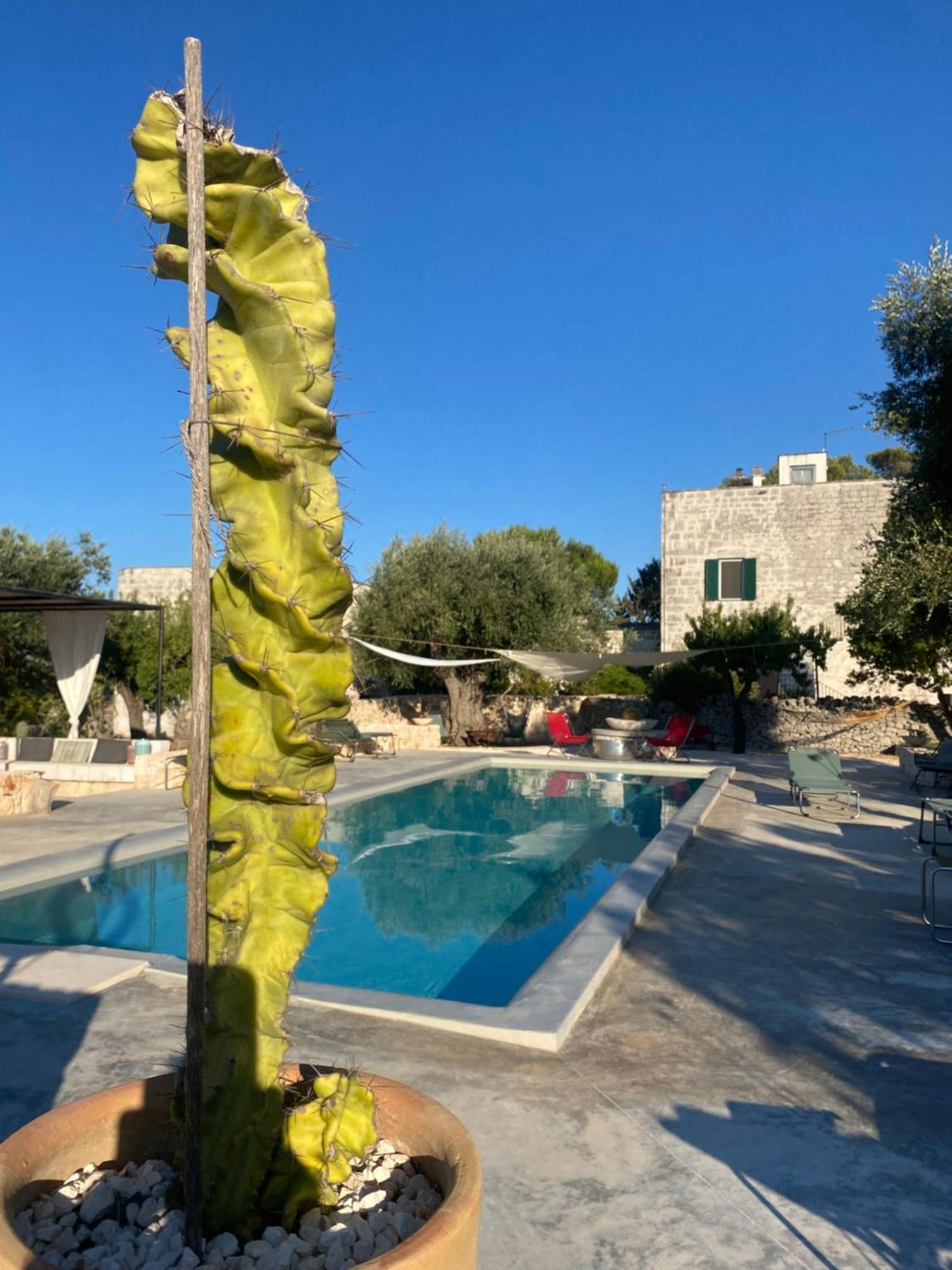 Masseria Serafino Ostuni Buitenkant foto