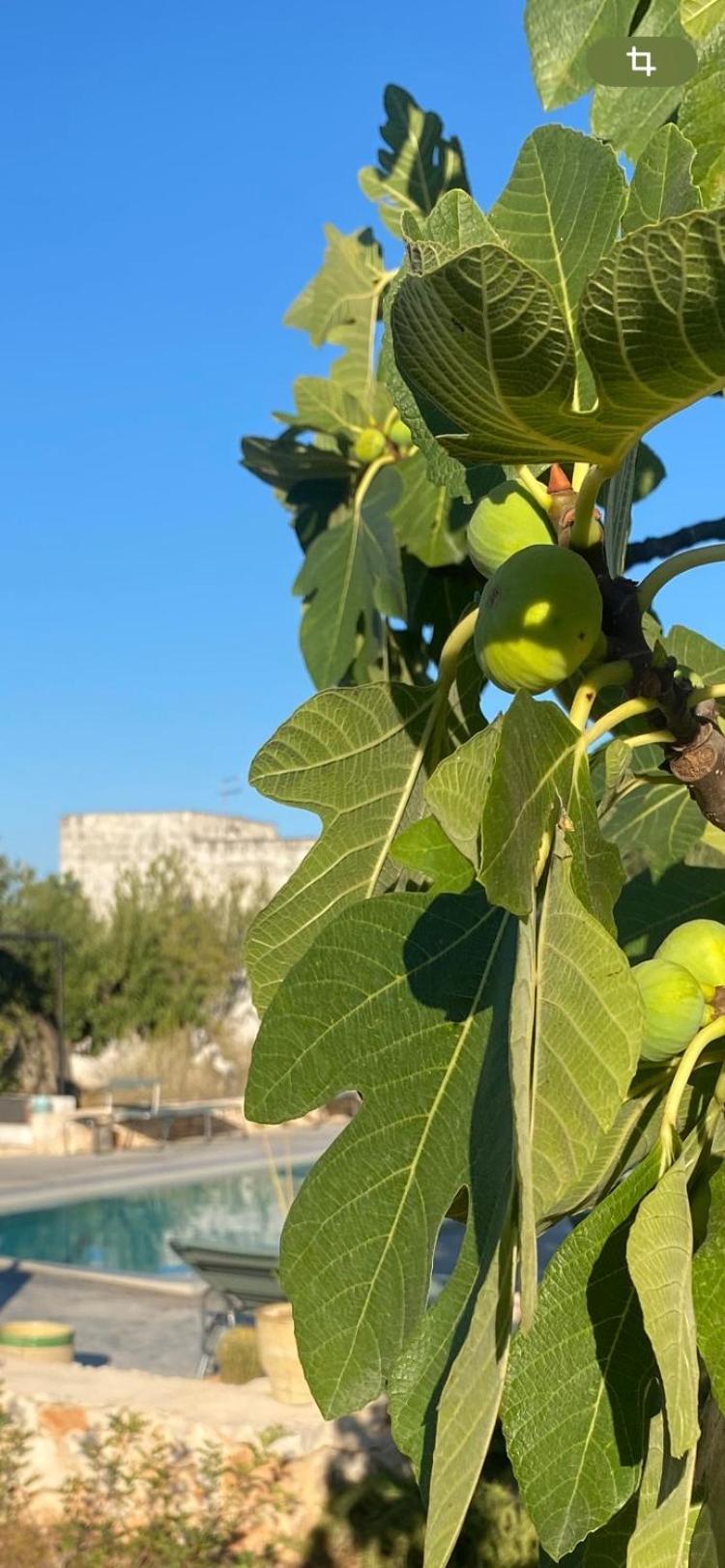 Masseria Serafino Ostuni Buitenkant foto
